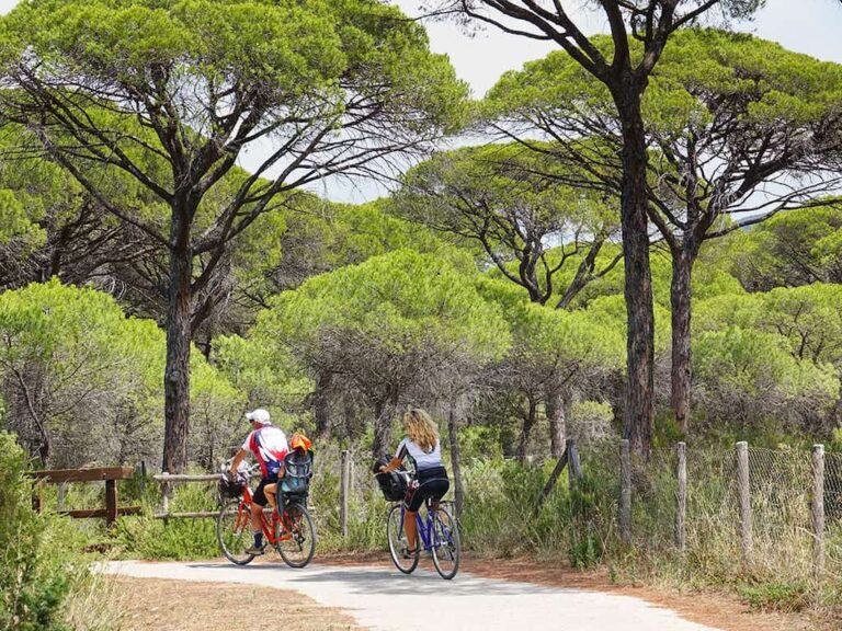Tuscany by bike here are the best routes in Maremma
